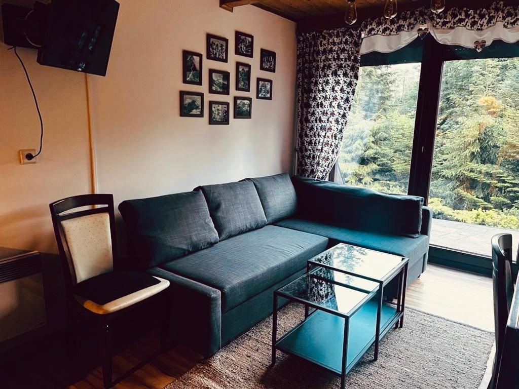 Ferienwohnung Butorowy Cichy Potok Kościelisko Exterior foto