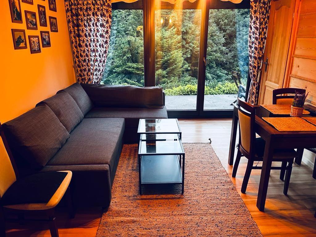 Ferienwohnung Butorowy Cichy Potok Kościelisko Exterior foto